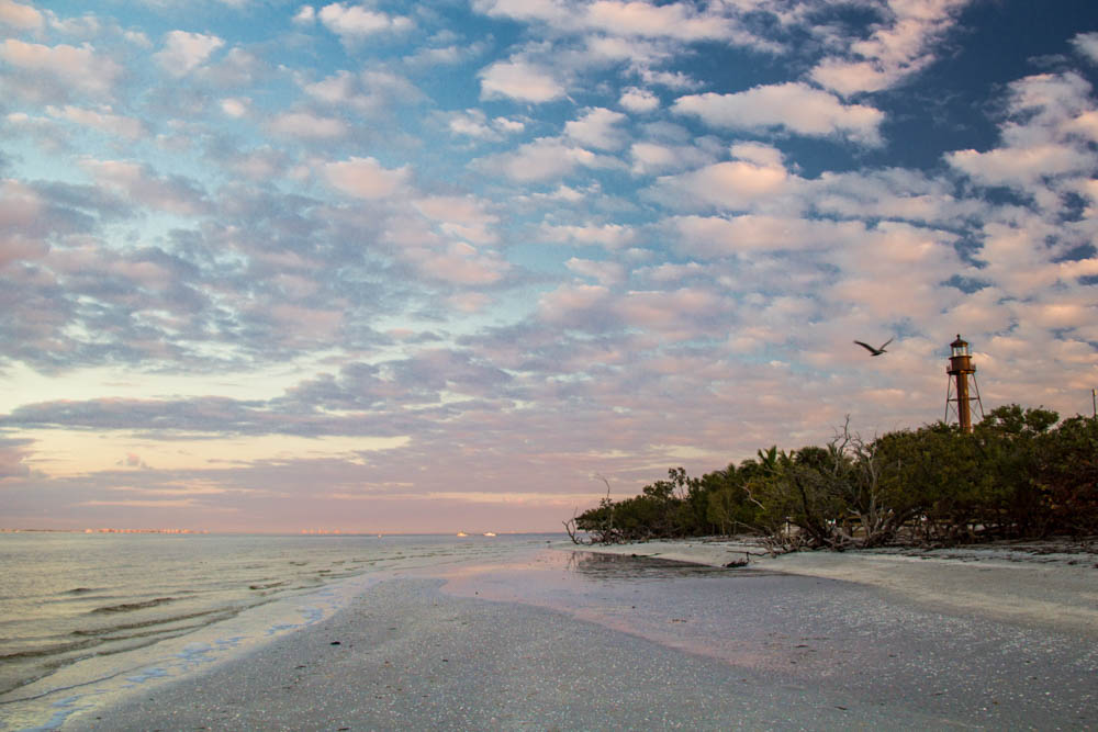 Florida 2016-1483