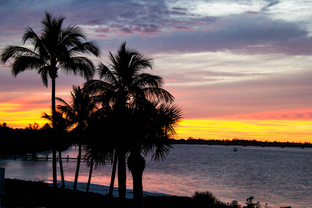 Florida 2016-432